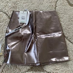 Mistress rocks metallic skirt